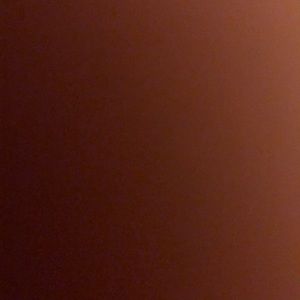 Meet your Posher, Bailey